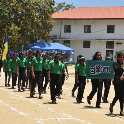 344582114 1986233851716213 1285631331973801466 N