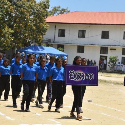 344939129 629895441902791 3507583402444049220 N