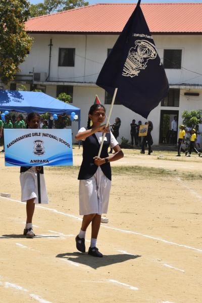 345217185 907156577030858 6942182415057157727 N